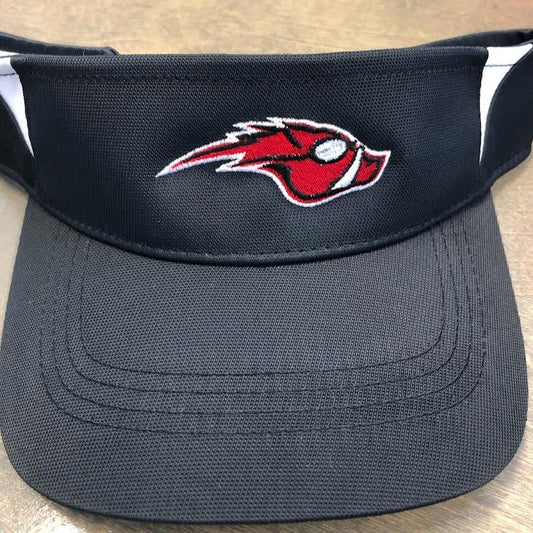 AquaHawgs Black Visor