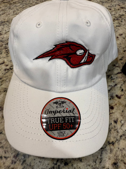 AquaHawgs Baseball Hat