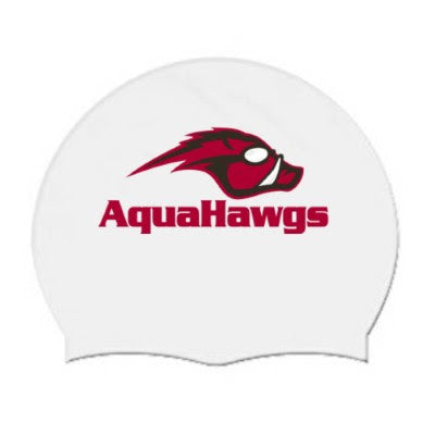 Aquahawgs PRODome Silicone Cap